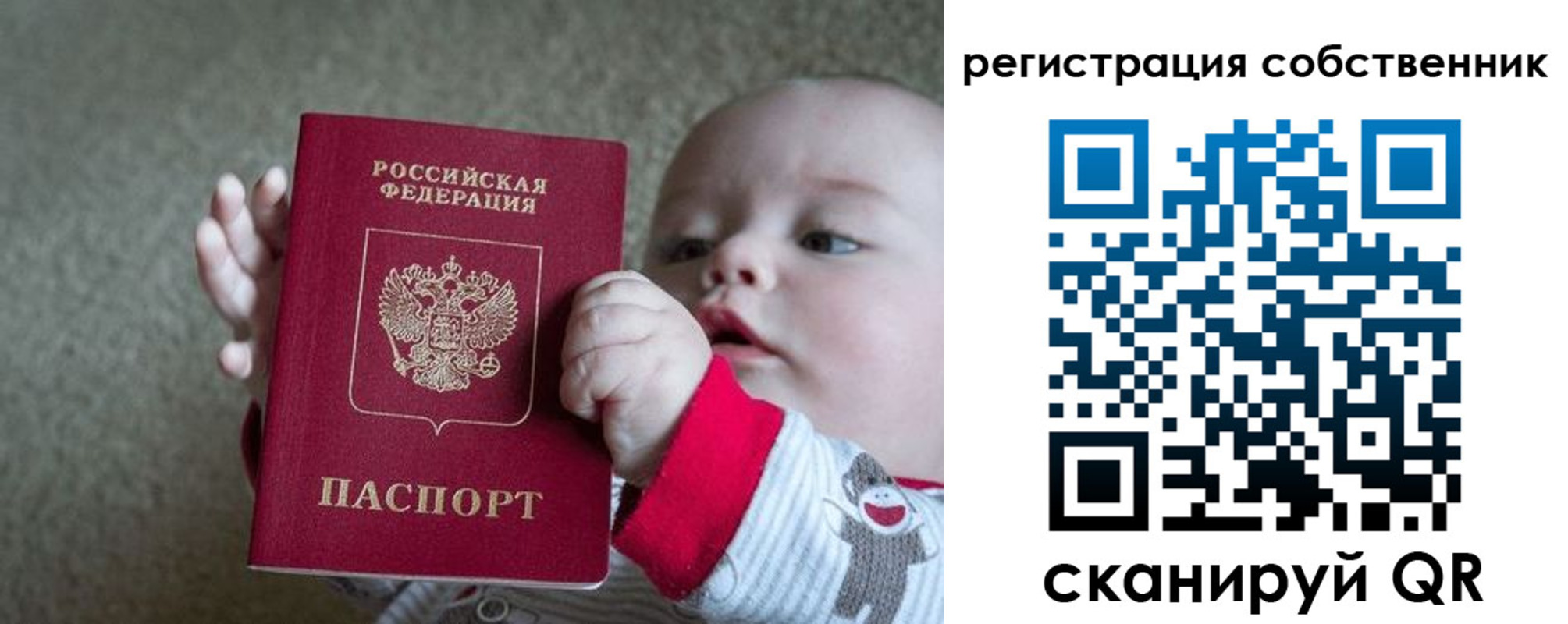 прописка в Гатчине
